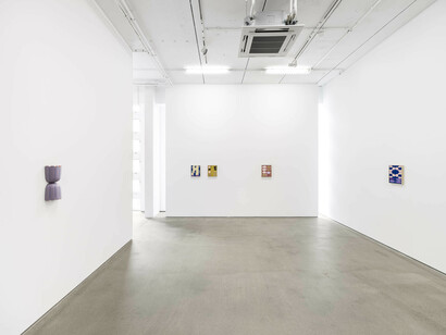 Maja Behrmann, Seifen, in blüte, ausstellungsansicht. Mit freundlicher genehmigung der G2 Kunsthalle