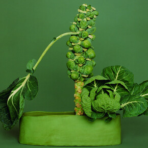 Still Life. Courtesy of Museion