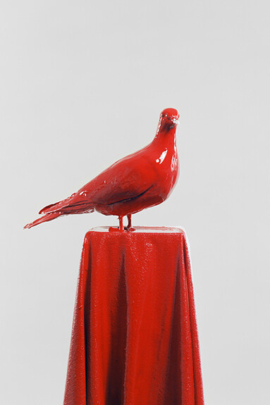 Julia Krahn, Die Taube, 2011 © Julia Krahn 