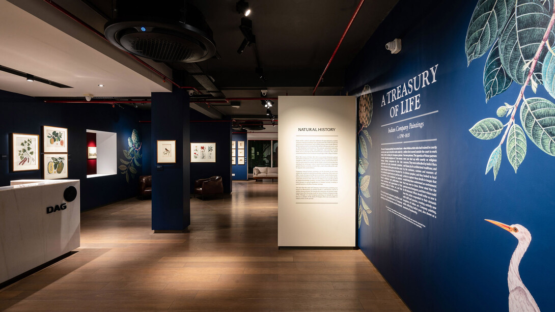 A treasury of life. Indian company paintings c. 1790-1835, exhibition view. Courtesy of DAG