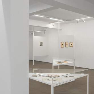 CK Rajan, Rajan one, exhibition view. Courtesy of Galerie Mirchandani + Steinruecke