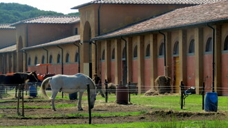Copertina Tenuta di San Rossore