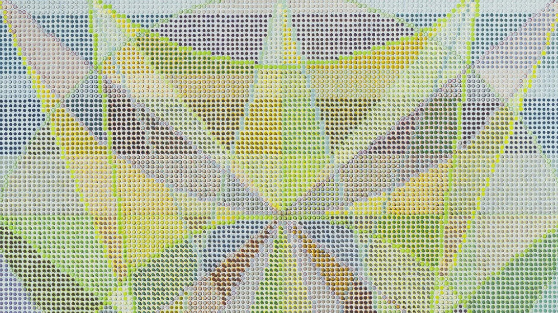 Masako Kamiya, Lotus (detail), 2025. Courtesy of Gallery Naga 