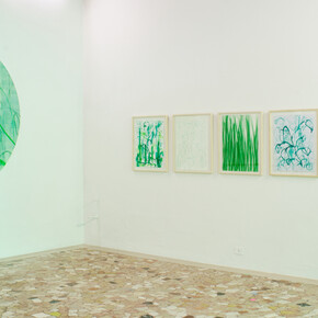 Thomas Berra, Verde Indagine, installation view, Placentia Arte 2017, ph. Credit Marco Fava