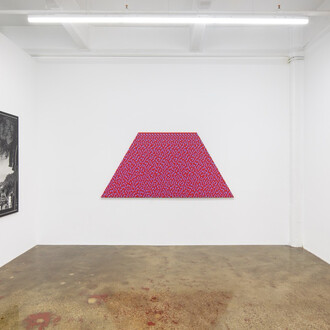 Daniel Temkin, exhibition view. Courtesy of Higher Pictures