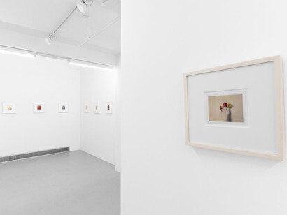 Dietmar Busse, My life as a flower, exhibition view. Courtesy of Clamp 