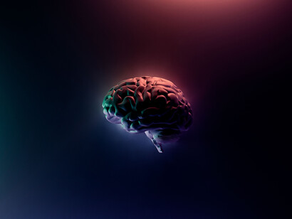 El cerebro más maduro tiene, realmente, ventajas sobre su contraparte más joven