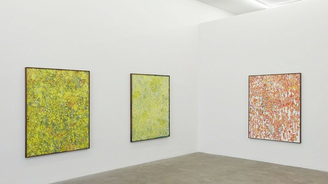 Montana Wildflowers. Courtesy of Praz-Delavallade