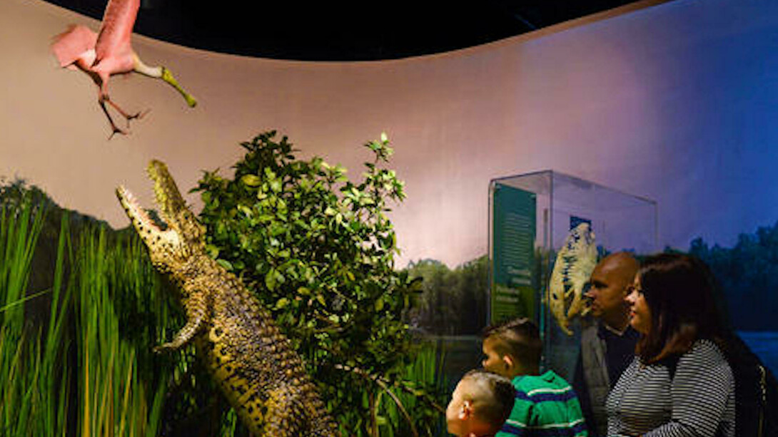 Welcome to Cuba. Courtesy of American Museum of Natural History