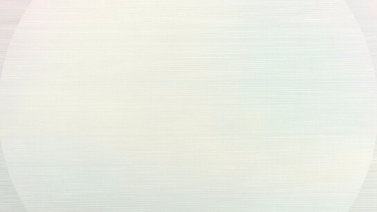 Steven MacIver. Courtesy of Dillon + Lee