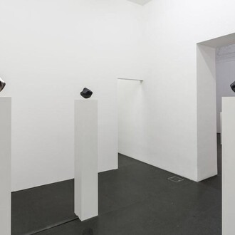 Agnieszka Kurant, Variantology, exhibition view. Courtesy of Lia Rumma Gallery