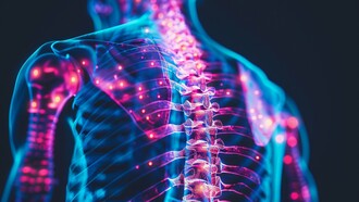 A digitally enhanced image of a human torso reveals the intricate network of bones and nerves in the spine, highlighting the crucial role of the lumbar region in supporting the upper body and emphasizing the internal structures related to lower back
