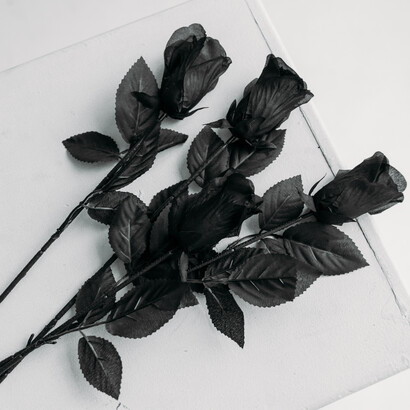 Rosas em referência à beleza e ao luto