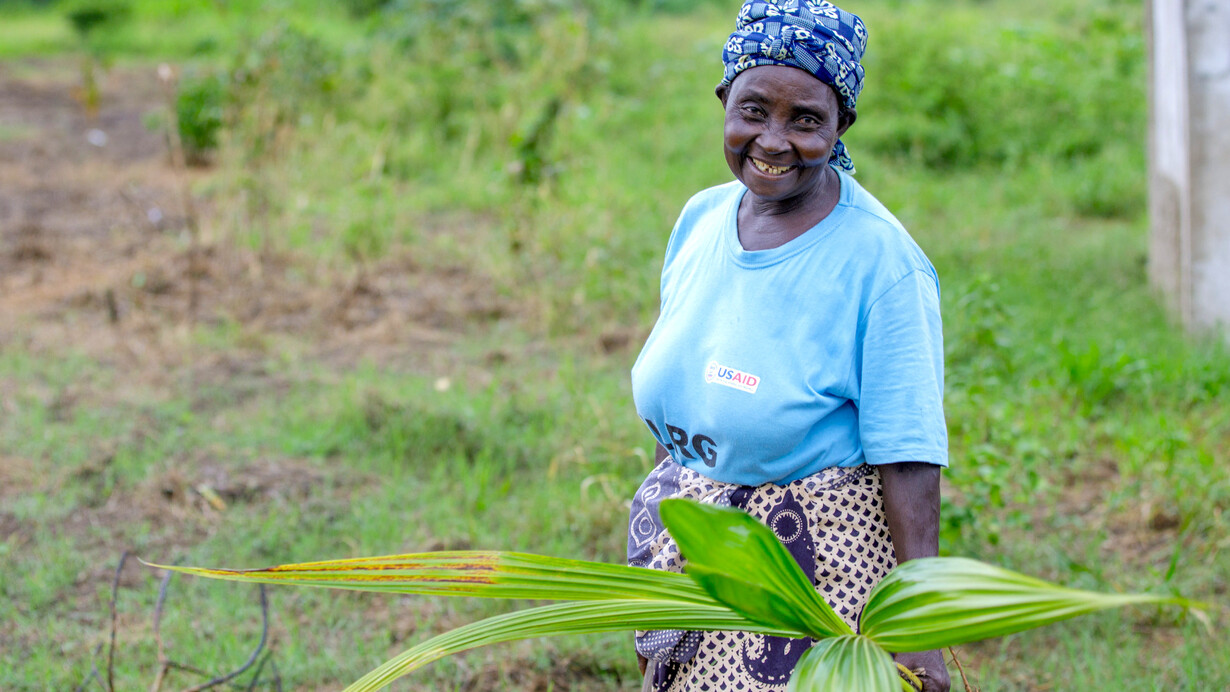 Idosa africana em meio à plantação