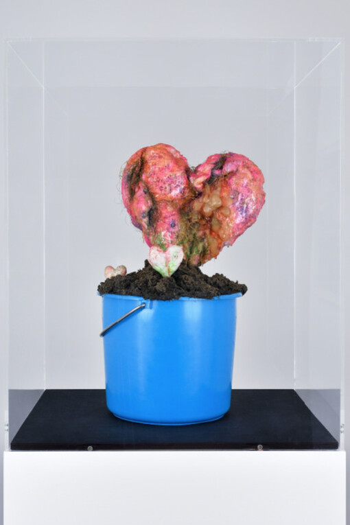 De humani corporis fabrica. Courtesy of Christophe Gaillard