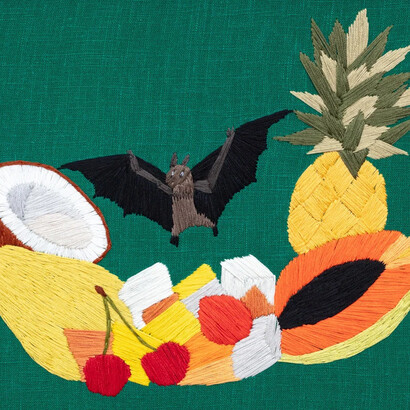 Erica van Zon, Fruit bat on canned fruit, 2025. Courtesy of Jhana Millers Gallery