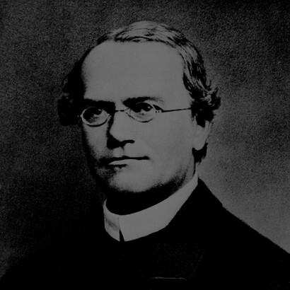 Gregor Mendel (1822-1884)
