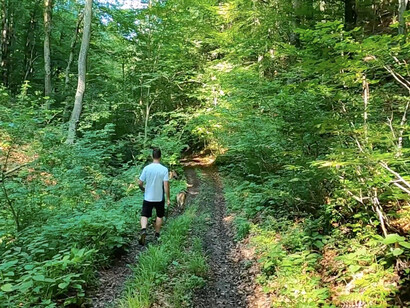 In the quiet of the forest, he seeks a distant point on the horizon, demonstrating that clarity of purpose can illuminate the path ahead
