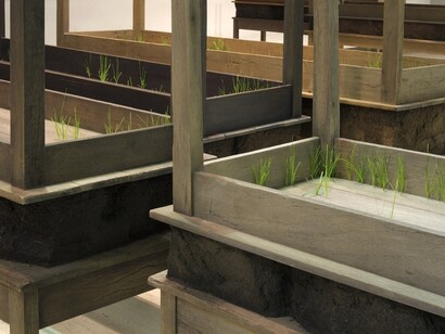 Doris Salcedo, Plegaria Muda 4