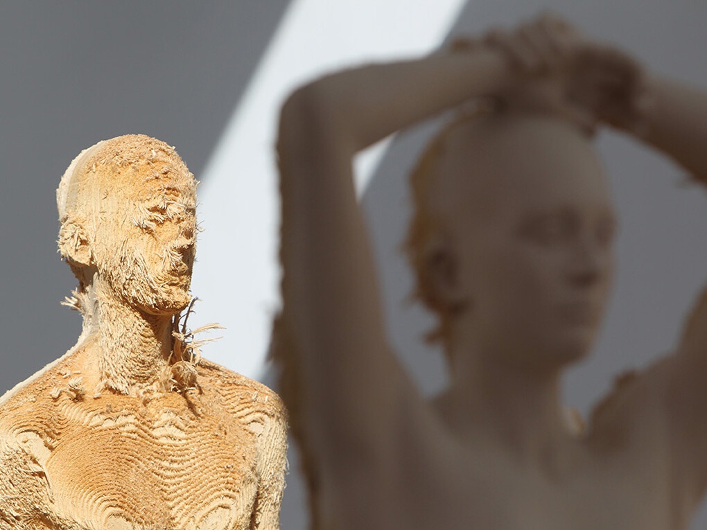 Aron Demetz. Memoridermata