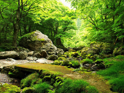 No importan las creencias o explicaciones que me hayan dado o que me haya creído, vivir no se puede definir con la mente