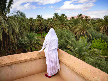 A woman staring at palms from her balcony. Morocco farmers mourn the loss of date palms in a standoff