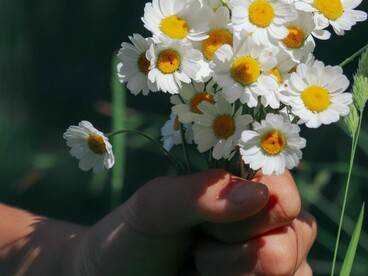 Small acts of kindness quickly spread positive energy to everyone