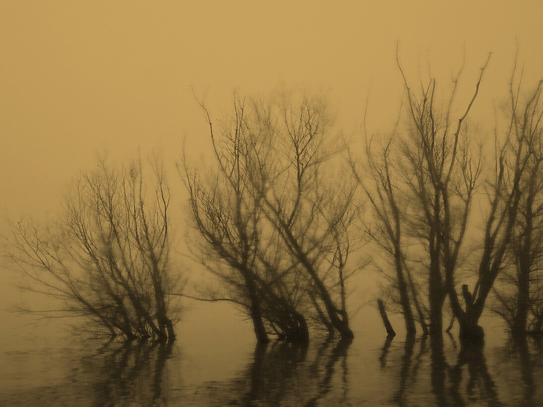 Davide Coltro, Landscapes