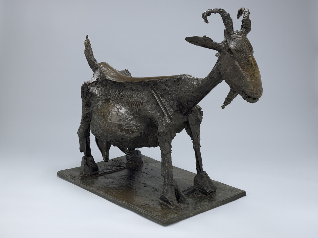 Pablo Picasso (Spanish, 1881–1973), She-Goat. Vallauris, 1950 (cast 1952). Bronze. 46 3/8 x 56 3/8 x 28 1/8″ (117.7 x 143.1 x 71.4 cm). The Museum of Modern Art, New York. Mrs. Simon Guggenheim Fund. © 2014 Estate of Pablo Picasso / Artists Rights Society (ARS), New York.