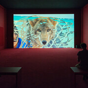 Camille Henrot, In the veins, vue de l'exposition. Avec l'aimable autorisation de LUMA Arles