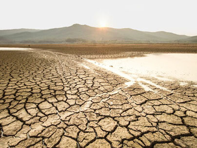 The next few years are likely to define our collective response to the climate crisis
