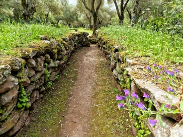 Area archeologica del santuario nuragico di Santa Cristina, Paulilatino, Oristano, Italia. Foto di Holger Uwe Schmitt