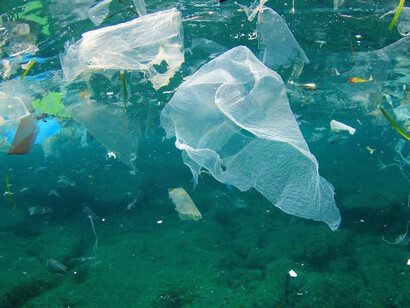 L'environnement est la principale ressource naturelle
