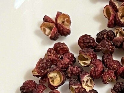 Sichuan peppers cause a tingling sensation on the tongue