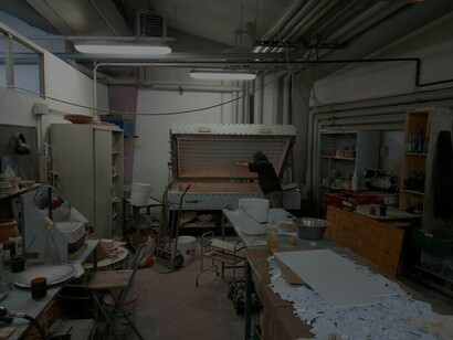 Joan Crous mentre lavora nel suo laboratorio 