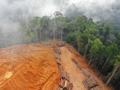 Deforestation accounts for about 17 to 25% of the world’s emissions of carbon dioxide