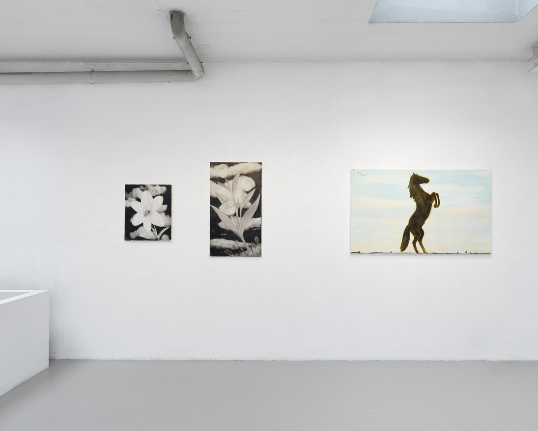 Rainbow Road. Courtesy of Galerie Sébastien Bertrand