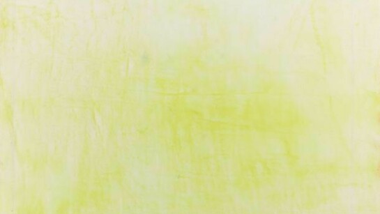 Jessica Dickinson, Of: Now (detail), 2013, Pastel, graphite and gouache on paper, 49 1/4 x 42 in. (125.1 x 106.68 cm)