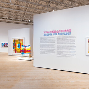 Tomashi Jackson, Across the universe, exhibition view. Courtesy of Contemporary Arts Museum