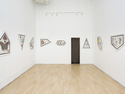 Alex Ziv, Exhibition view. Courtesy of Hashimoto Contemporary