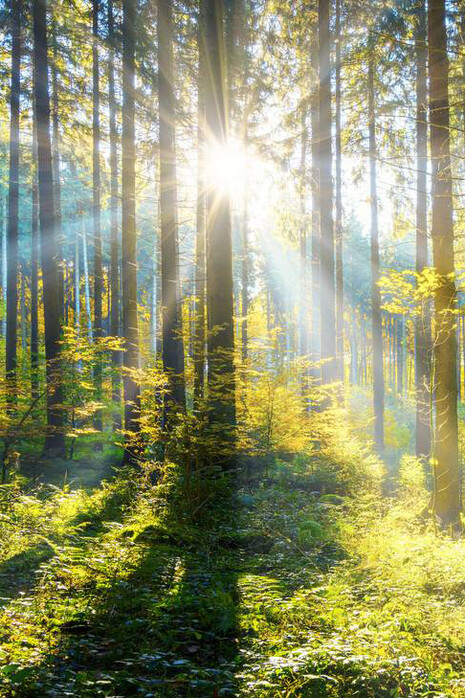 È la tecnica che influenza il nostro modo di osservare il mondo