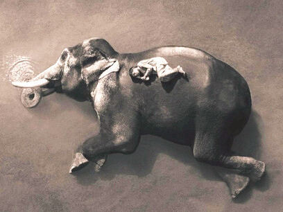 Gregory Colbert, serie fotográfica Ashes and Snow