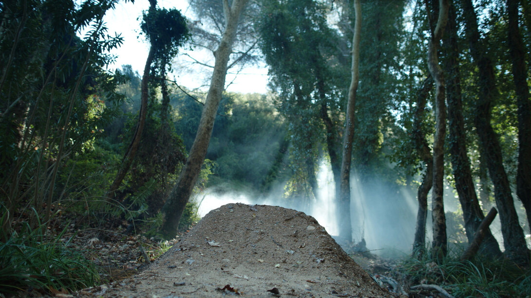 Wu Tsang, One emerging from a point of view, 2019
Überlappende Zweikanal-Projektionen, 5.1 Surround Sound
43 Min.
Courtesy: die Künstlerin; Galerie Isabella Bortolozzi; Cabinet & Antenna Space