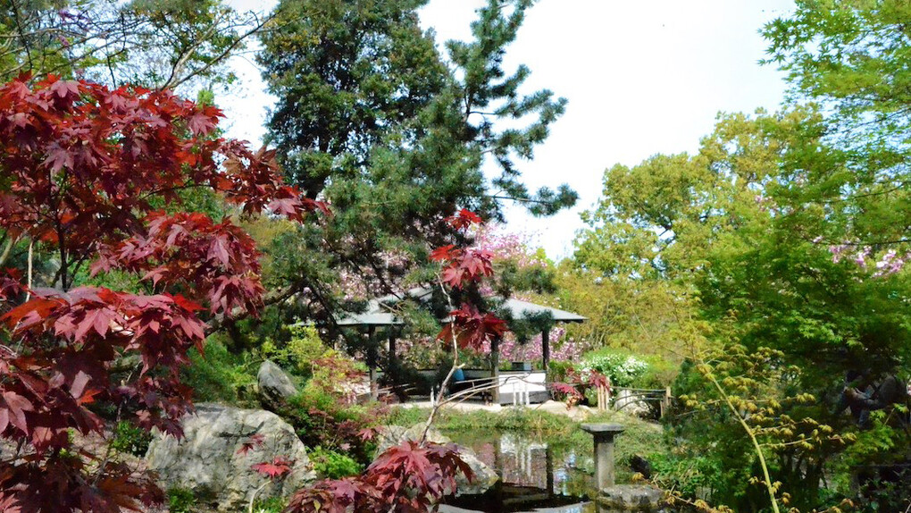 L'Orto Botanico di Roma