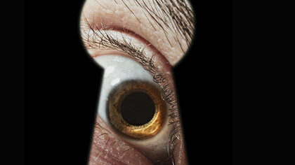 Le voyeur