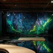 Peter Robertson Gallery