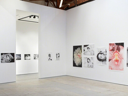 Hana Jinsei. Courtesy of Over the Influence 