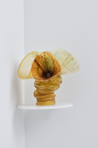 Georgia Munnik, Polyps, 2025. Courtesy of Whatiftheworld 