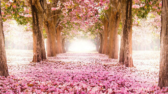 Una teoria primaverile