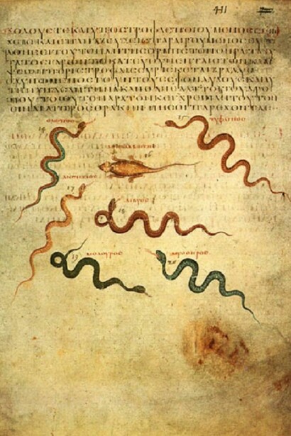 La theriaca di Mitridate era un antidoto contro il morso di serpente.